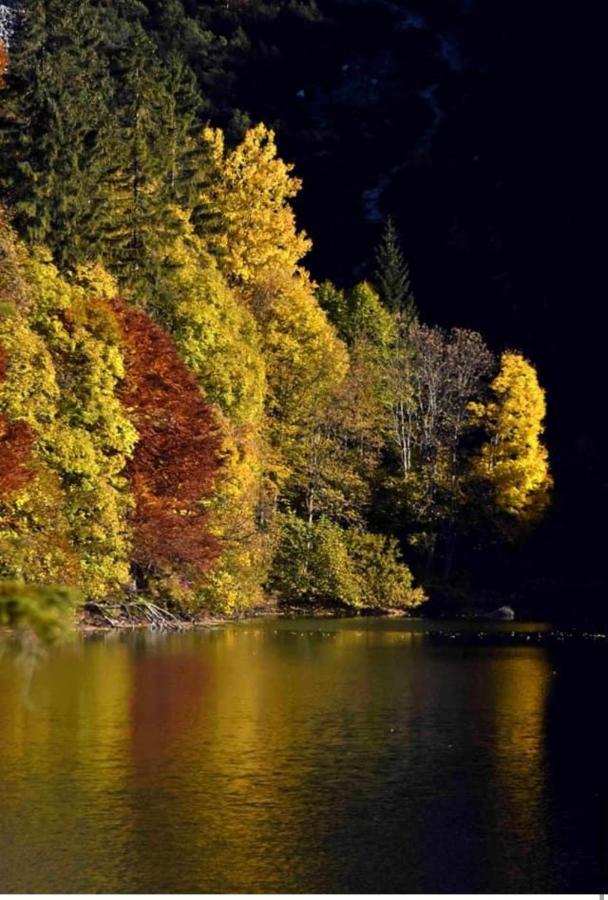 Appartamento Da Romina Con Parcheggio Gratuito Санцено Экстерьер фото